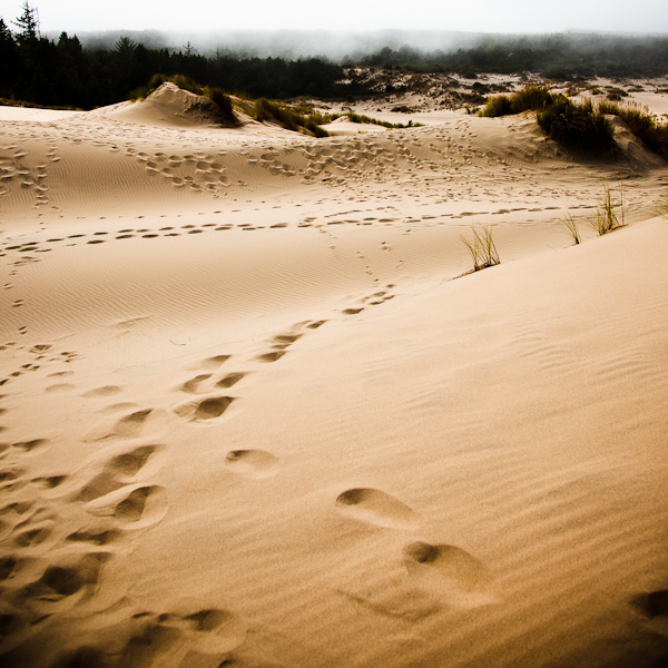 107 Steps, maybe more