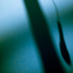 Back home after/math